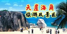日本荡妇色视频海南三亚-天崖海角旅游风景区